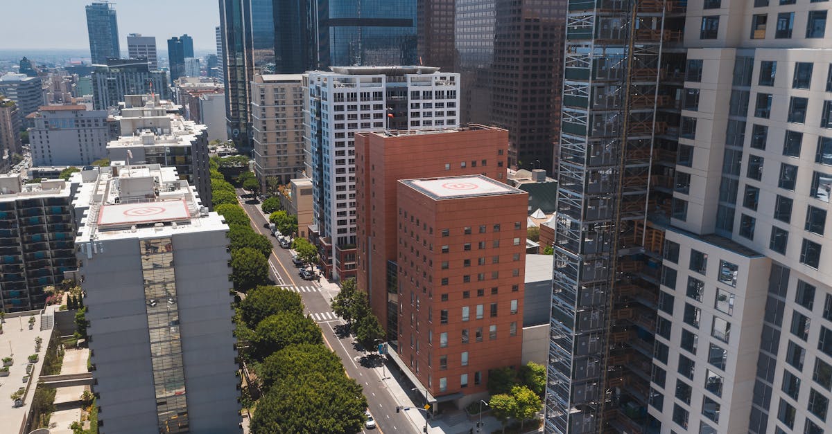 铁塔猫苏打爆珠（粗）：市监服务app详情下载教程安卓