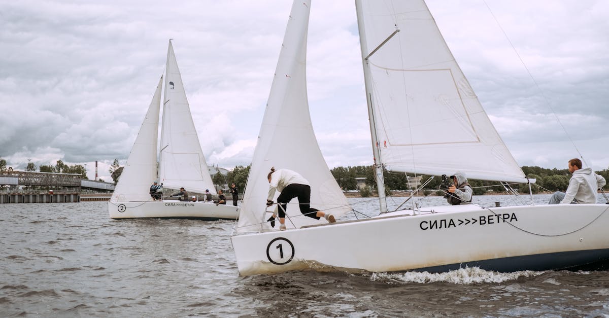 网页在线DDOS压力测试|舒曼波APP详情下载教程