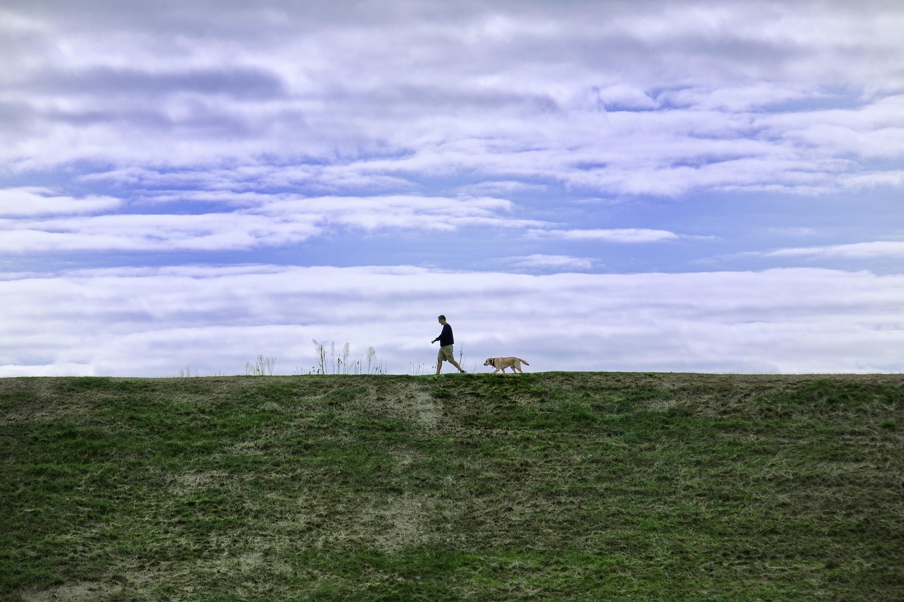 贴吧实名账号:app 详情下载教程总是失败