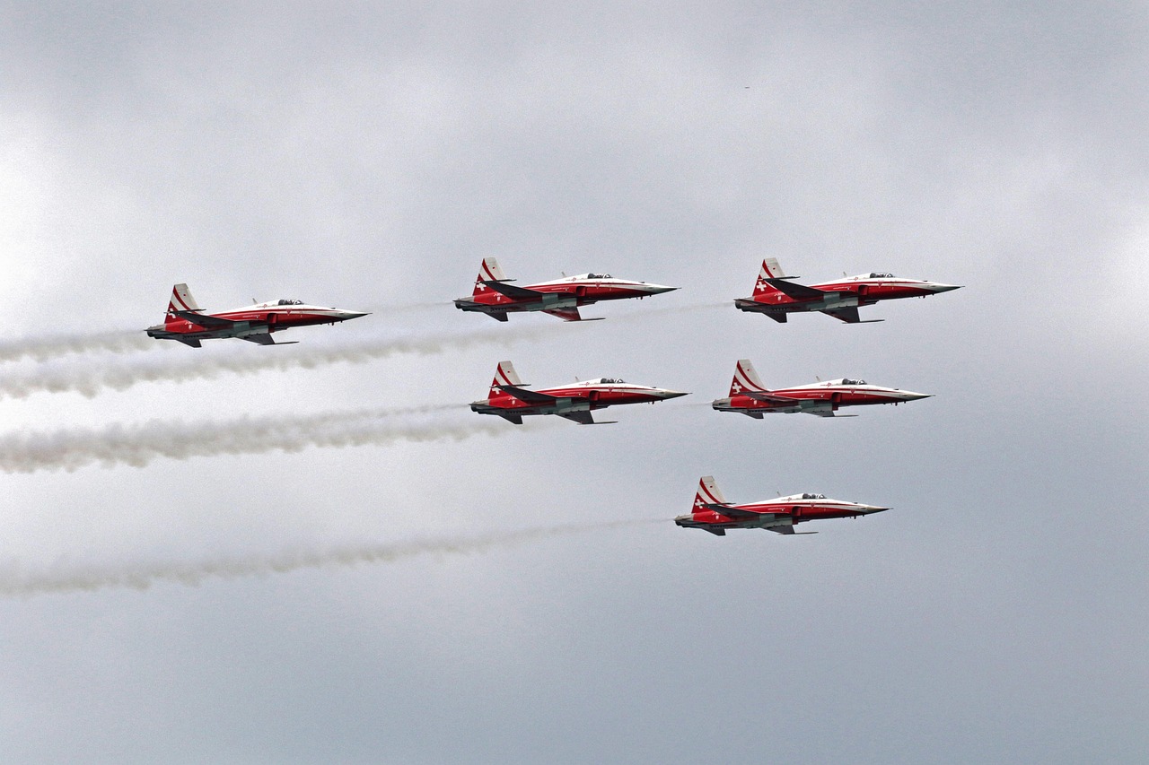 详情下载教程君留APP