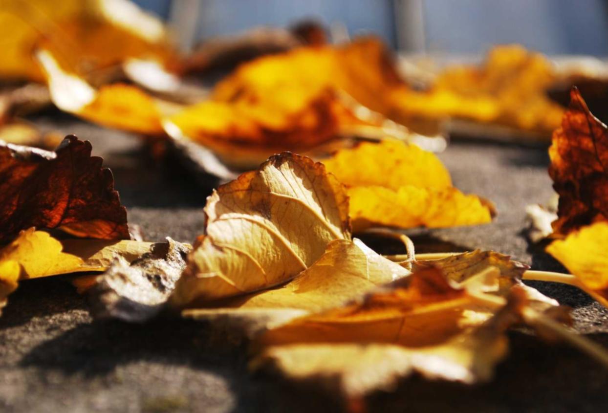 四季彩平台开户