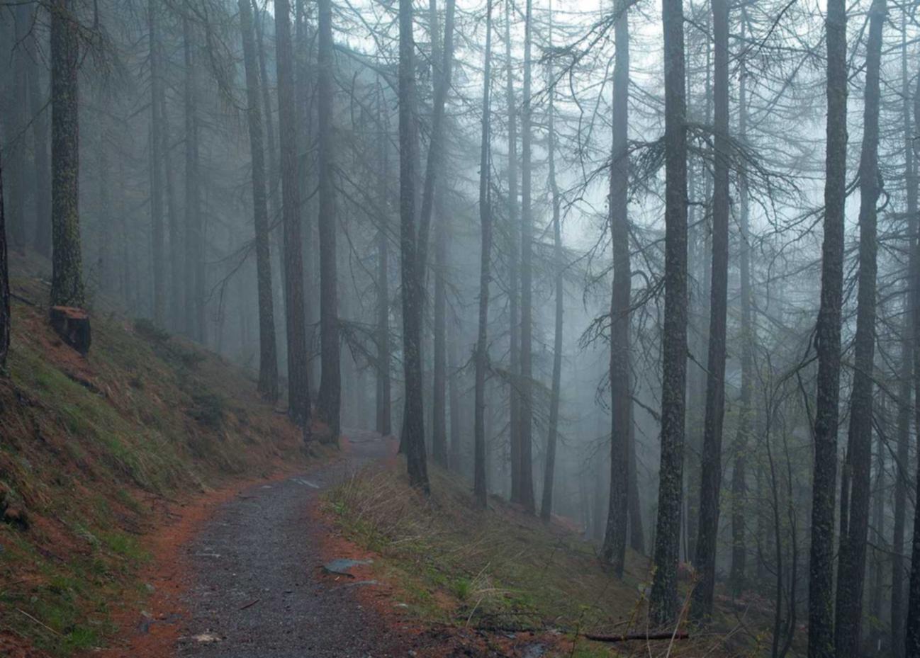 侍魂胧月传说：91tv详情下载教程app