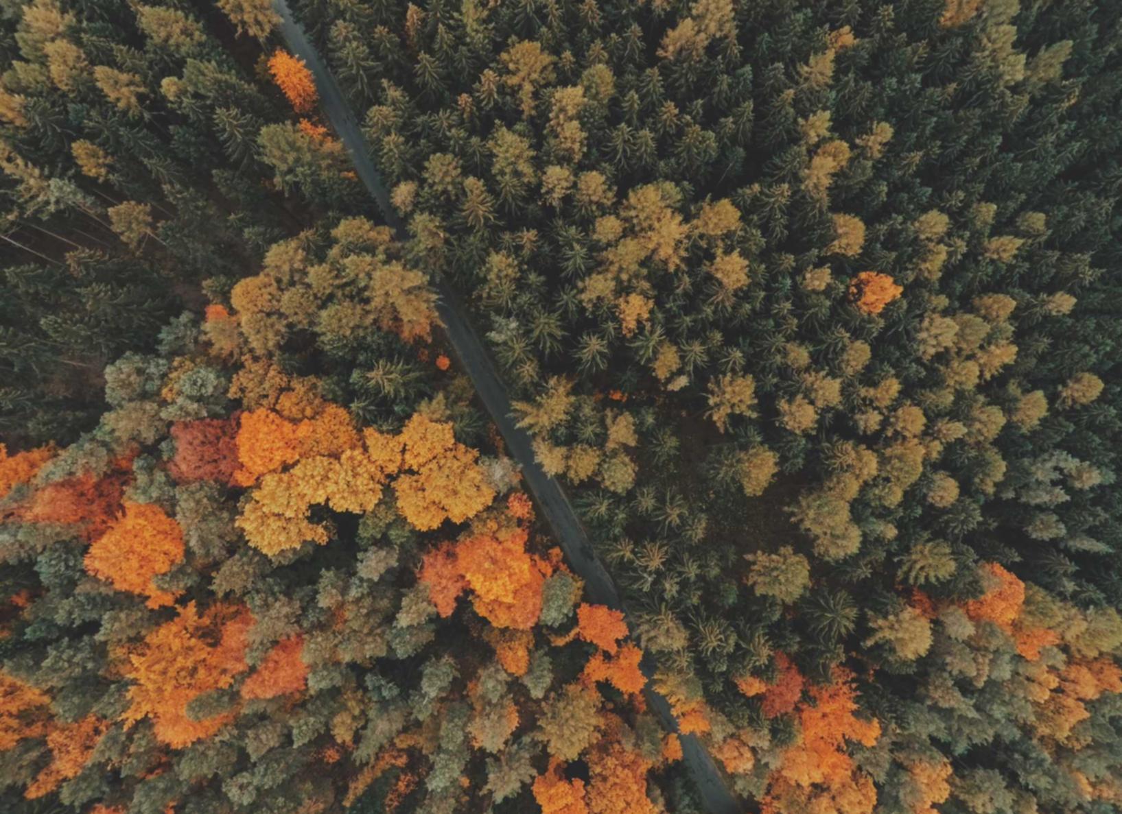 长城移动实名账号:海南注册专利代理